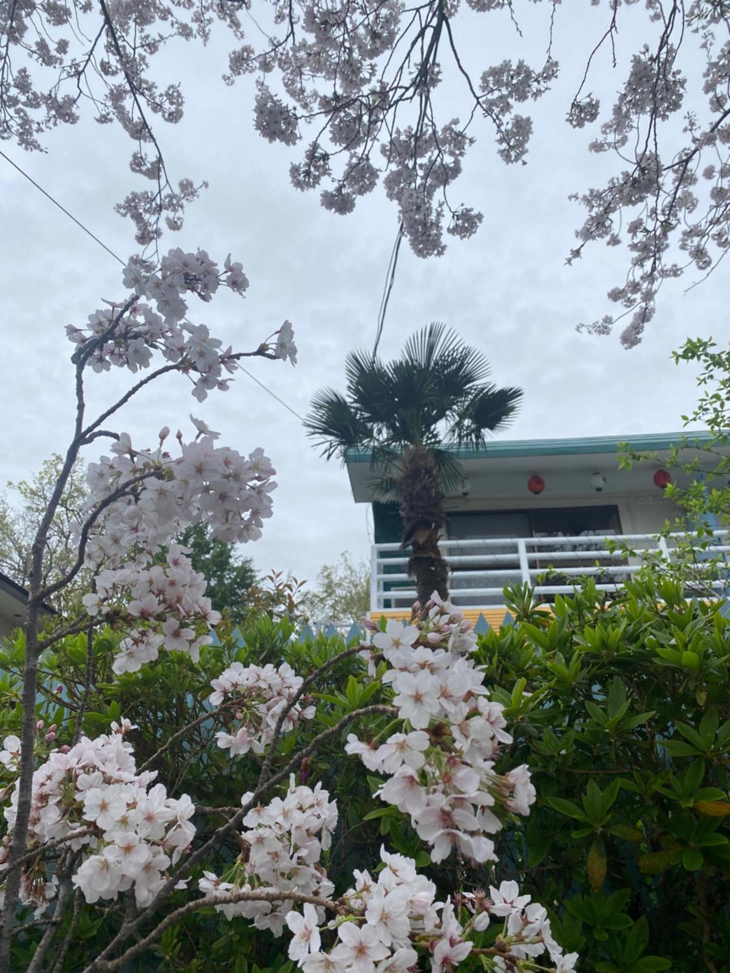 Hanamizuki Onsen Resort Itō Extérieur photo