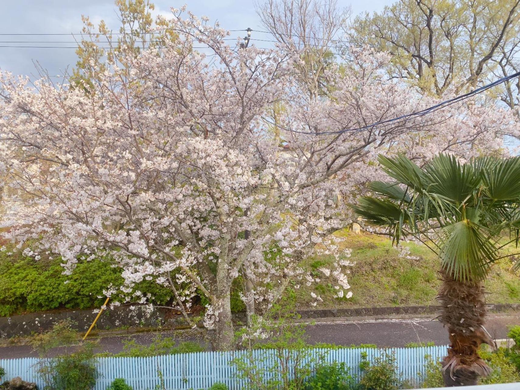 Hanamizuki Onsen Resort Itō Extérieur photo