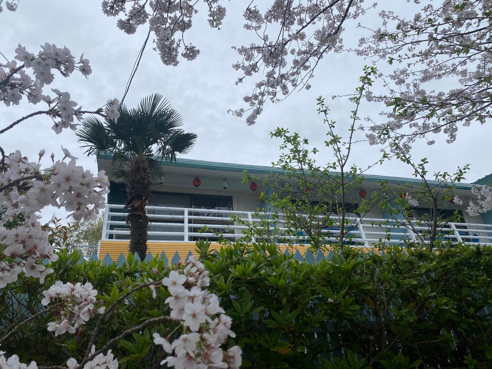 Hanamizuki Onsen Resort Itō Extérieur photo